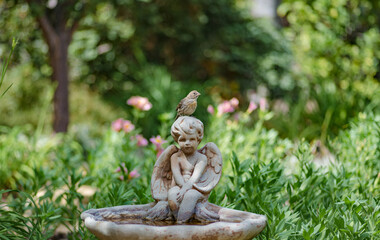 Angel-shaped, Birdbath, Verdant garden