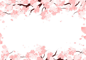 Spring Sakura Frame. Cherry Blossom Background. illlustration. Sakura Bloom Border.