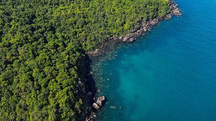 Aerial view of a dense tropical forest coastline meeting the clear turquoise waters of the ocean, symbolizing natural beauty and conservation