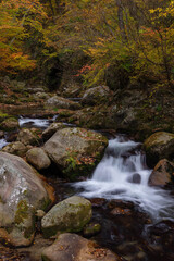 紅葉最盛期の本谷川渓谷と清流
