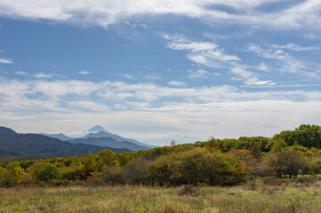色づき始めた野辺山高原の草原から望む富士山と筋雲