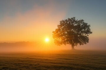 Serene sunrise bliss. Breathtaking nature landscape with sun peeking misty trees creating perfect harmony of sunlight morning fog and summer fields ideal for evoking tranquility and beauty in outdoor