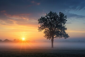 Fototapeta premium Serene sunrise bliss. Breathtaking nature landscape with sun peeking misty trees creating perfect harmony of sunlight morning fog and summer fields ideal for evoking tranquility and beauty in outdoor