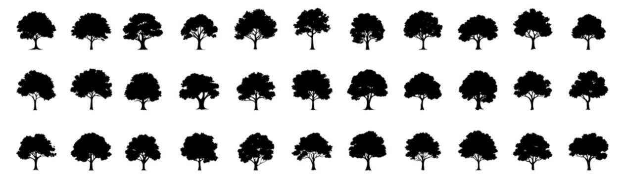 set of silhouette of tree. forest trees evergreen. isolated on white background.