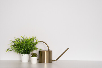 Green garden plants and golden watering can on white background