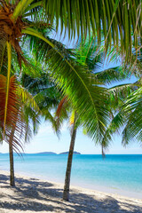Beach in southeast asia. Palm trees and blue sea, heavenly place