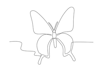 A butterfly with beautiful wings. Butterfly one-line drawing
