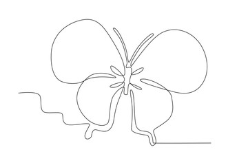 A butterfly with circular wings. Butterfly one-line drawing