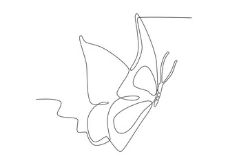 A butterfly with beautiful wing patterns. Butterfly one-line drawing