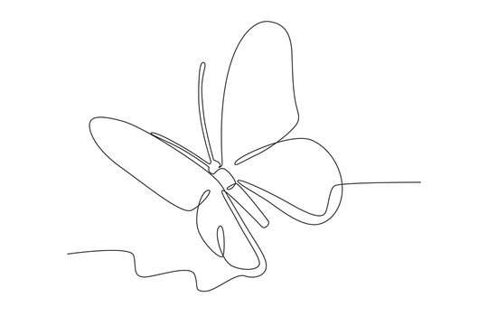 A butterfly with simple wing patterns. Butterfly one-line drawing