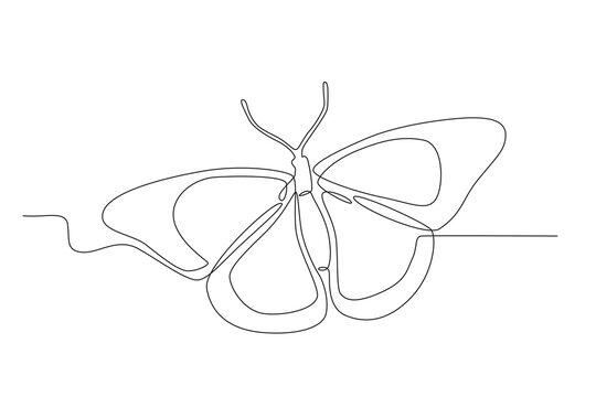 A concept of insect animals. Butterfly one-line drawing
