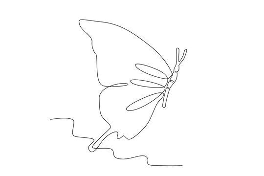 A tropical butterfly. Butterfly one-line drawing