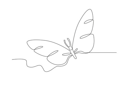 A butterfly with beautiful elongated wings. Butterfly one-line drawing