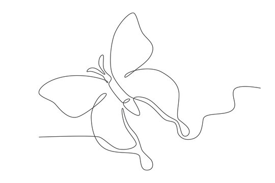A beautiful butterfly flying high. Butterfly one-line drawing