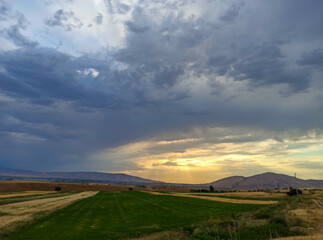Fototapeta premium Ears of wheat on the background of the year. Wheat fields, freezing. Kyrgyzstan. Natural background