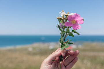 Fototapeta na wymiar vue sur une main caucasienne qui tient un bouquet de fleurs sauvages lors d'une journée d'été ensoleillée