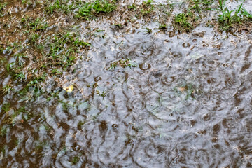 Rain drops fall on a small puddle of water collected outdoors