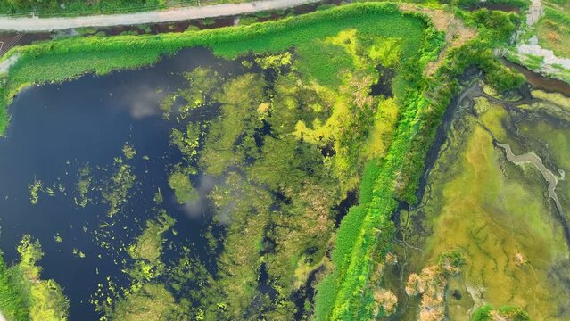 Industrial wastewater is a major contributor to water pollution, as it contains harmful chemicals and pollutants, posing serious environmental risks. Water contamination and aquatic pollution concept.