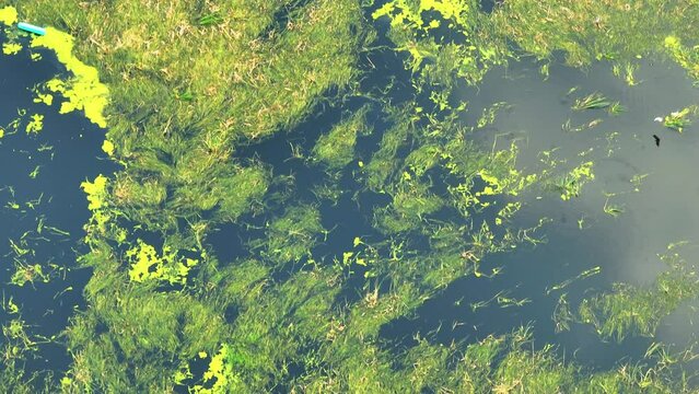 The unchecked release of industrial wastewater into surface waters is a looming disaster, jeopardizing our environment and future generations. Environmental pollution and Climate change concept.
