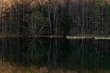 午後の翳りに包まれた初冬の御射鹿池