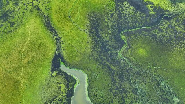 Industrial wastewater, a tainted stream of sorrow, harbors chemicals, heavy metals, and toxins, a pollution symphony in nature's morrow. Water contamination and aquatic pollution concept. Drone view.

