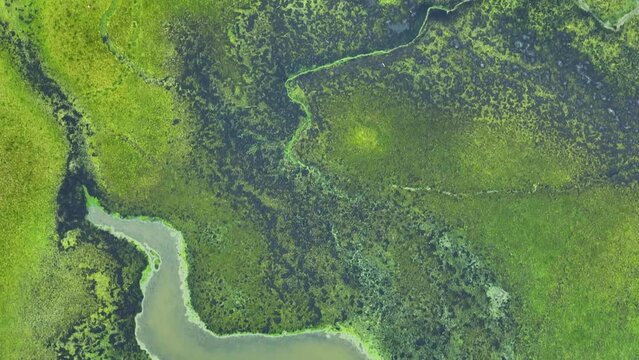 Surface water pollution due to industrial wastewater arises when the effluents from manufacturing processes contain harmful substances, causing detrimental impacts on aquatic environments. Drone.
