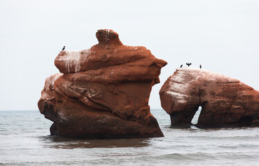 vue sur des rochers rouges recouverts de fiente d'oiseau au bord de l'eau en été avec des oiseaux perchés au top
