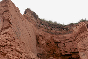 vue sur la paroi d'une falaise en roche rouge en été avec du gazon vert sur le sommet lors d'une journée ensoleillée