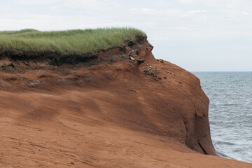 vue sur un rocher de roche rouge recouvert de gazon en bord de mer lors d'une journée d'été