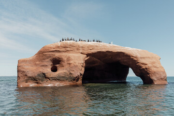 vue sur une roche rouge avec un grand trou causé par l'érosion de l'eau en été avec des oiseaux perchés au top