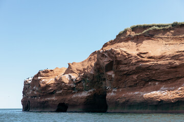 Fototapeta na wymiar vue sur une falaise de roche rouge en bord de mer avec des fientes d'oiseau en été avec la lumière du soleil