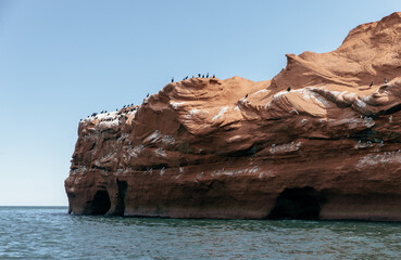 vue sur une falaise de roche rouge en bord de mer avec des fientes d'oiseau et des oiseaux perchés...