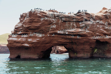 vue sur un rocher en roche rouge avec un trou recouvert de fiente d'oiseau au bord de l'eau en été lors d'une journée ensoleillée avec des oiseaux perchés au top - obrazy, fototapety, plakaty