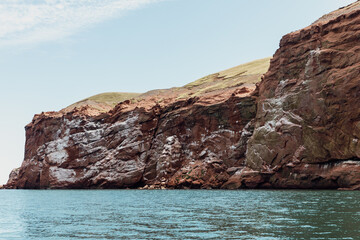 vue sur une falaise en roche rouge avec des fientes d'oiseau en bord de mer avec du gazon sur le...
