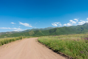 Fototapeta na wymiar Beautiful summer mountain landscape. Wheat fields and mountains. Kyrgyzstan. Natural background