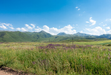 Fototapeta premium Beautiful summer mountain landscape. Wheat fields and mountains. Kyrgyzstan. Natural background