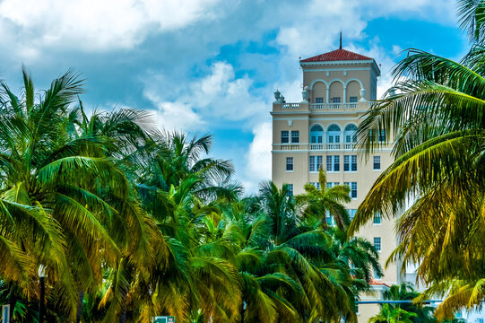 Explore Miami's historic charm! Download the captivating Old City Hall images. Built in 1927, this landmark by Martin Luther Hampton stands tall at 1130 Washington Avenue, contributing to Miami