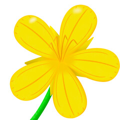 yellow flower isolated on white