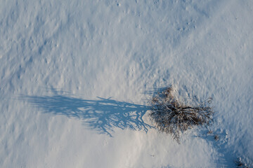 Zimowa polana długie cienie - obrazy, fototapety, plakaty