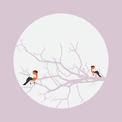 a postcard with bullfinches 