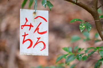 遍路道
