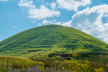 The extinct volcano Vayots Sar in Armenia against the background of a flower meadow.