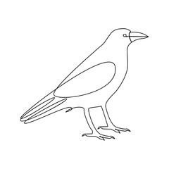 Crow bird continuous single line art outline drawing of minimalism Vector illustration design on white background.Crow one line drawing for logo