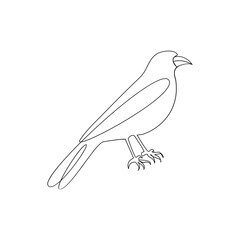 Crow bird continuous single line art outline drawing of minimalism Vector illustration design on white background.Crow one line drawing for logo