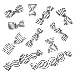 DNA cartoon doodle line outline doodle