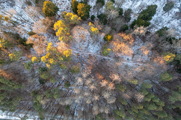 Zimowy las z powietrza