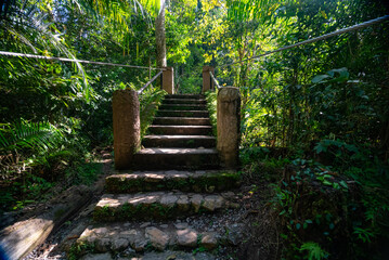 Bridges, Footpaths Nature Trails