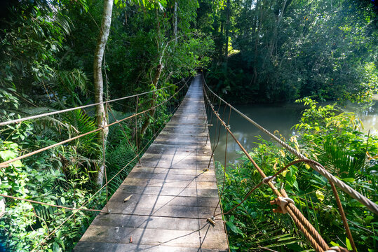 Bridges, Footpaths Nature Trails