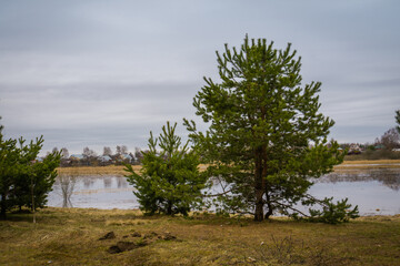 Obraz premium Spring flood of the river