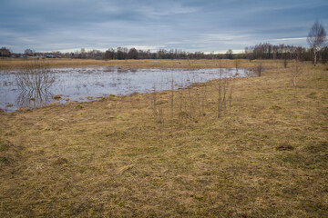 Spring flood of the river